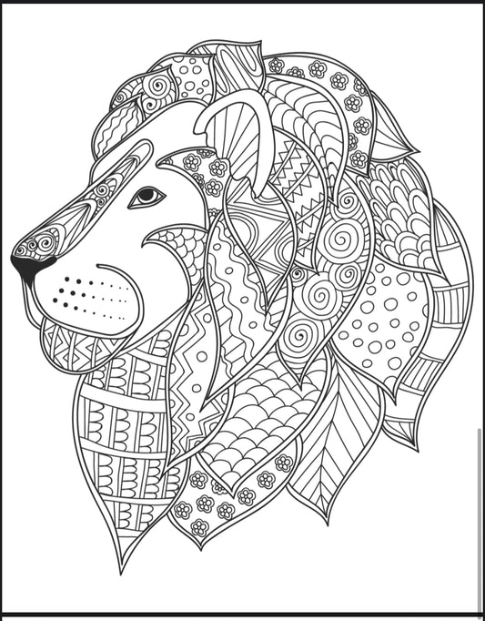 Mandalas y Zentangles - Colección 1