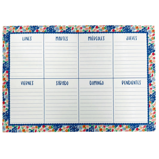 Organizador Semanal Grande